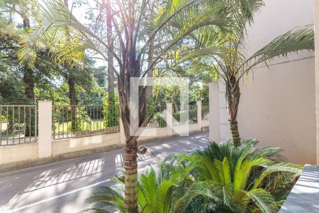 Vista da Sala de apartamento à venda com 2 quartos, 43m² em Morro Santana, Porto Alegre