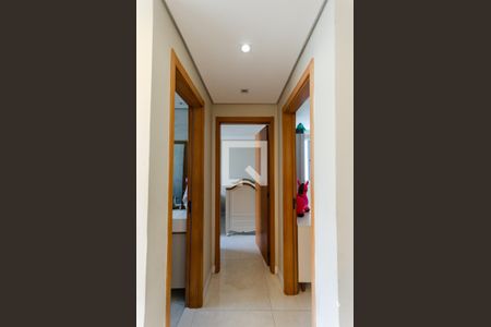 Corredor de apartamento para alugar com 2 quartos, 43m² em Jardim Iris, São Paulo