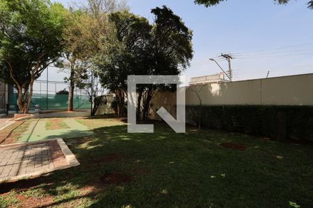 Área comum - Espaço pet de apartamento à venda com 3 quartos, 145m² em Santa Teresinha, São Paulo