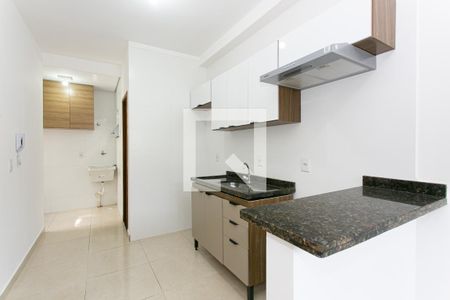 Cozinha de apartamento para alugar com 2 quartos, 36m² em Penha de França, São Paulo