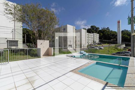 Área comum - Piscina de apartamento à venda com 2 quartos, 43m² em Bom Jesus, Contagem