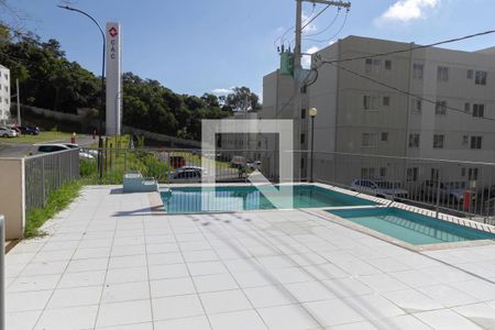 Área comum - Piscina de apartamento à venda com 2 quartos, 43m² em Bom Jesus, Contagem