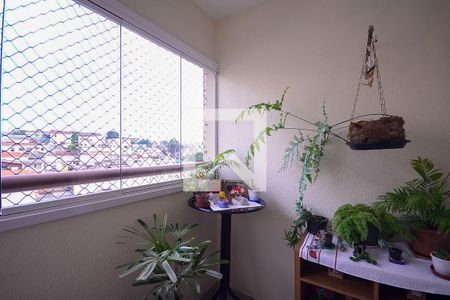 Varanda da Sala de apartamento à venda com 3 quartos, 70m² em Vila da Saúde, São Paulo
