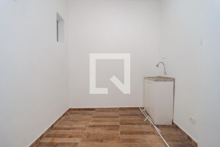Área de Serviço de casa para alugar com 1 quarto, 45m² em Vila Progredior, São Paulo