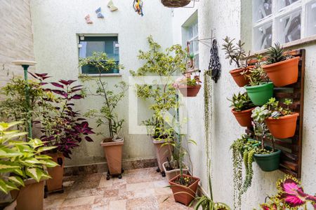Jardim de Inverno de casa à venda com 3 quartos, 199m² em Vila Curuçá, Santo André