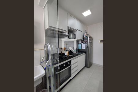Cozinha - Armários de apartamento à venda com 2 quartos, 55m² em Vila das Merces, São Paulo