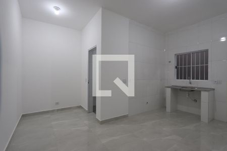 Kitnet de kitnet/studio para alugar com 1 quarto, 30m² em Quinta da Paineira, São Paulo