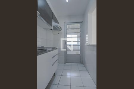 Cozinha - Armários de apartamento para alugar com 2 quartos, 60m² em Planalto, São Bernardo do Campo