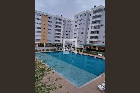 Área comum - Piscina de apartamento para alugar com 2 quartos, 58m² em Areias, São José