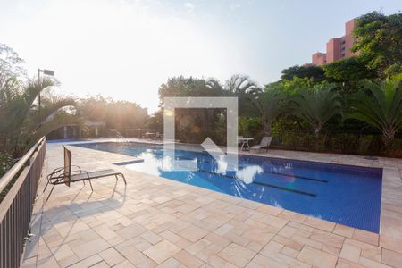 Área comum - Piscina de apartamento para alugar com 1 quarto, 40m² em Vila Castelo, São Paulo