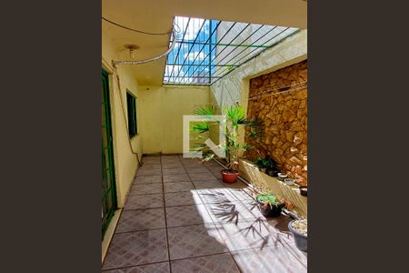 Jardim de inverno de casa para alugar com 5 quartos, 248m² em Campinas, São José
