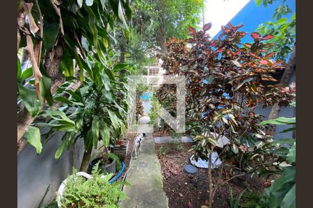 Quintal de casa à venda com 3 quartos, 190m² em Piedade, Rio de Janeiro
