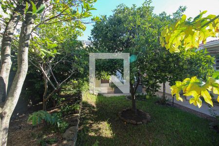 Quintal de casa à venda com 4 quartos, 220m² em Santa Tereza, Porto Alegre