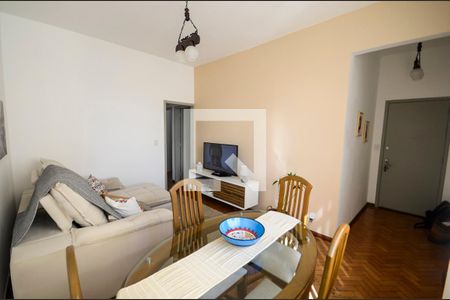 Sala de apartamento para alugar com 2 quartos, 59m² em Engenho Novo, Rio de Janeiro