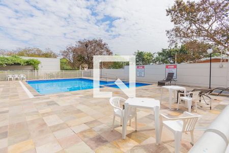 Área comum - Piscina de apartamento à venda com 2 quartos, 51m² em Jardim Nova Europa, Campinas