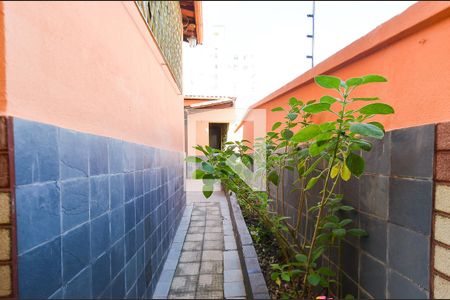 Area serviço de casa para alugar com 5 quartos, 400m² em Sagrada Família, Belo Horizonte