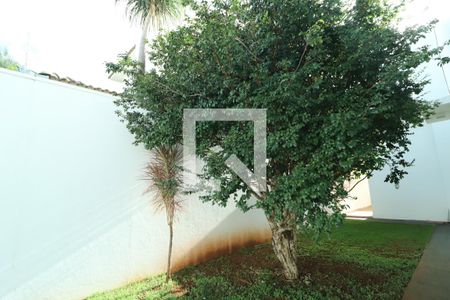 Quintal de casa para alugar com 5 quartos, 237m² em Jardim Karaíba, Uberlândia