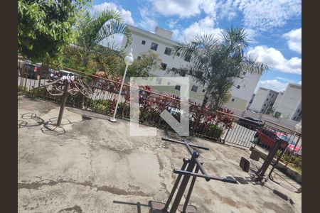 Área comum - Academia de apartamento à venda com 2 quartos, 45m² em Chacaras Reunidas Santa Terezinha, Contagem