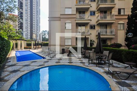 Área comum - Piscina de apartamento para alugar com 2 quartos, 54m² em Jardim Ampliacao, São Paulo
