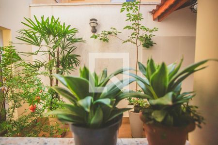 Vista de casa de condomínio à venda com 3 quartos, 135m² em Mirandópolis, São Paulo