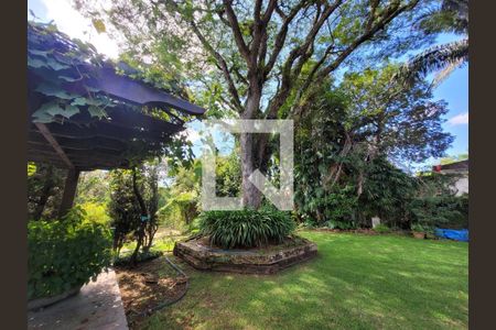 Foto 10 de casa à venda com 4 quartos, 598m² em Jardim Guedala, São Paulo