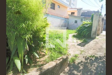 Casa à venda com 2 quartos, 500m² em Vila Butantã, São Paulo