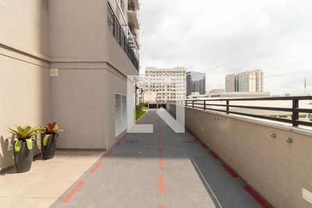 Área comum - Pista de Corrida de apartamento à venda com 2 quartos, 53m² em Barra Funda, São Paulo
