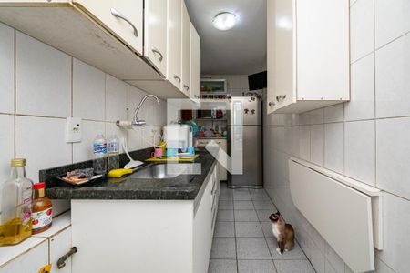 Cozinha de apartamento para alugar com 3 quartos, 65m² em Jabaquara, São Paulo