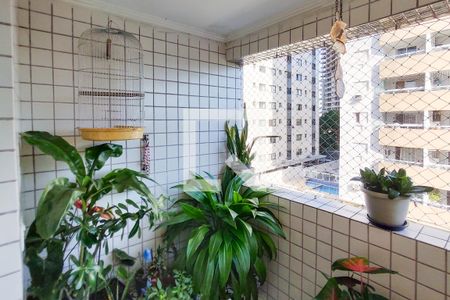Sacada Sala de apartamento para alugar com 1 quarto, 70m² em Guilhermina, Praia Grande