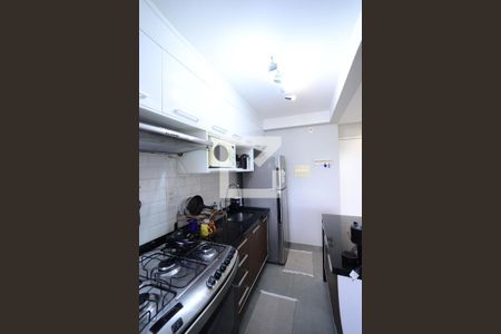 Cozinha de apartamento para alugar com 2 quartos, 63m² em Vila Monumento, São Paulo