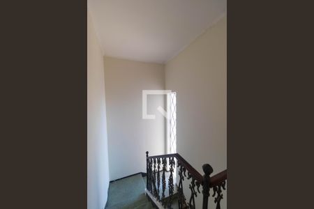 Hall íntimo de casa à venda com 3 quartos, 262m² em Botafogo, Campinas