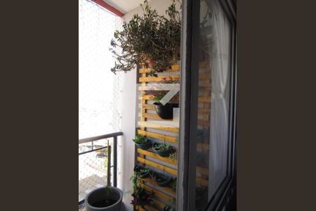 Varanda da Sala de apartamento para alugar com 3 quartos, 80m² em Vila Osasco, Osasco