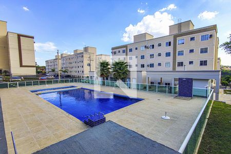 Área comum - Piscina de apartamento à venda com 2 quartos, 60m² em Santo Andre, São Leopoldo