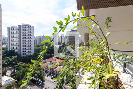 Vista/Varanda 1 de apartamento à venda com 3 quartos, 185m² em Vila Mariana, São Paulo