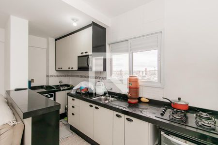 Cozinha de apartamento para alugar com 2 quartos, 35m² em Artur Alvim, São Paulo