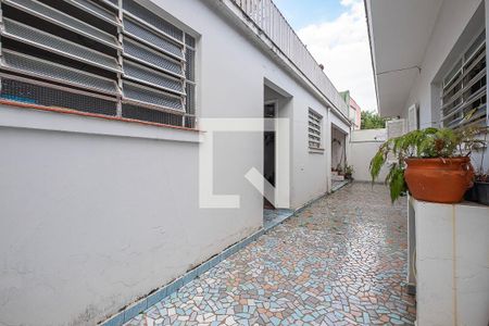 Quintal de casa à venda com 3 quartos, 290m² em Vila Madalena, São Paulo