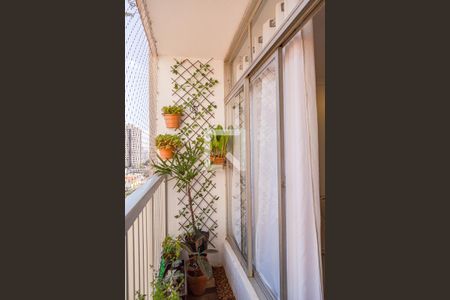 Varanda de apartamento à venda com 3 quartos, 70m² em Jardim Aeroporto, São Paulo
