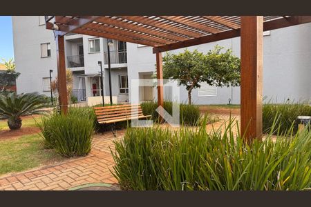 Área comum de apartamento para alugar com 2 quartos, 50m² em Vila Mimosa, Campinas