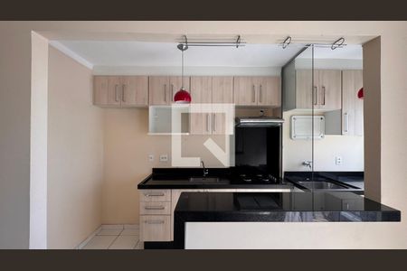 Cozinha de apartamento para alugar com 2 quartos, 50m² em Vila Mimosa, Campinas