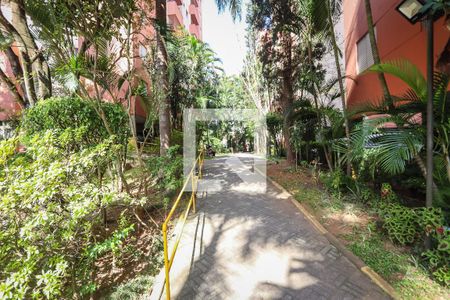 Area Comum - Area Verde de apartamento para alugar com 3 quartos, 71m² em Parque Munhoz, São Paulo