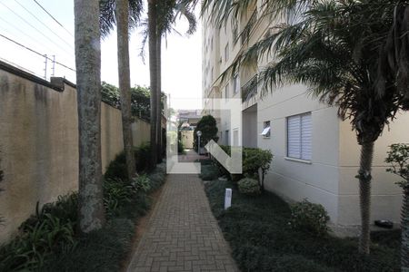 Área comum de apartamento para alugar com 2 quartos, 47m² em Jardim Vila Formosa, São Paulo