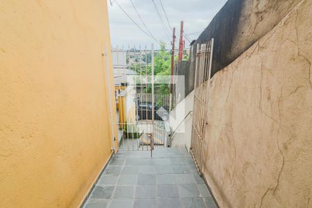 Quintal / Lavanderia de casa para alugar com 1 quarto, 180m² em Jardim Ester Yolanda, São Paulo