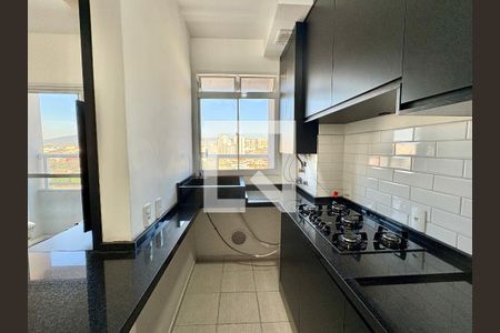 Cozinha de apartamento para alugar com 2 quartos, 44m² em Ponte Sao Joao, Jundiaí