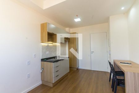 Sala/Cozinha de apartamento para alugar com 1 quarto, 27m² em Vila Aricanduva, São Paulo