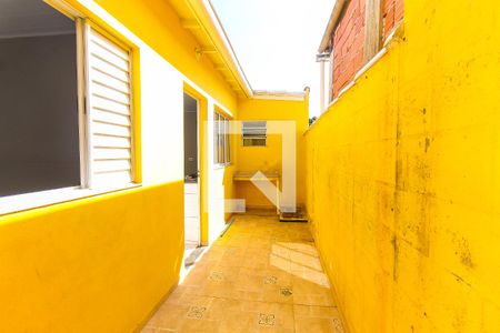 Área de Serviço e quintal de casa para alugar com 2 quartos, 70m² em Vila Santa Teresinha, São Paulo