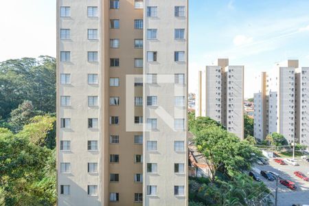 Vista do Quarto 1 de apartamento para alugar com 2 quartos, 59m² em Vila Emir, São Paulo