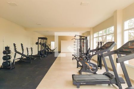 Área comum - Academia de apartamento para alugar com 2 quartos, 44m² em Jardim Monte Alto, Campinas