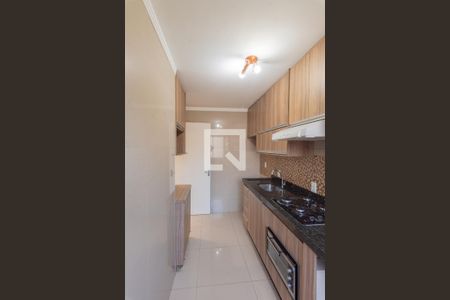 Cozinha de apartamento para alugar com 2 quartos, 44m² em Jardim Monte Alto, Campinas