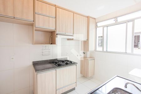 Cozinha de apartamento para alugar com 2 quartos, 44m² em Chácaras Tubalina E Quartel, Uberlândia
