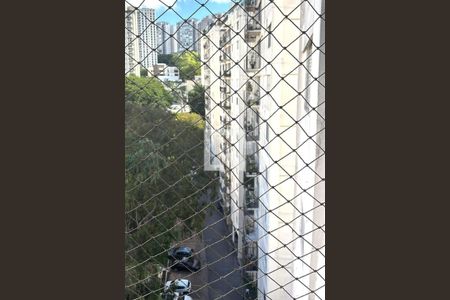 Apartamento à venda com 3 quartos, 72m² em Jardim Londrina, São Paulo
